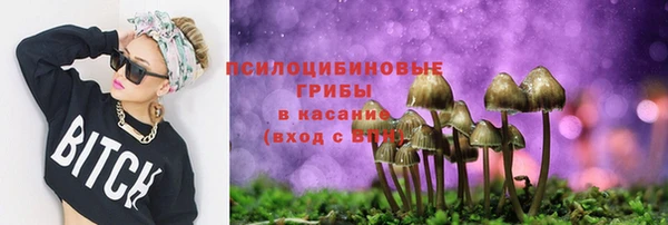 ПСИЛОЦИБИНОВЫЕ ГРИБЫ Арсеньев