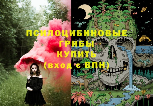 мяу мяу мука Алексин