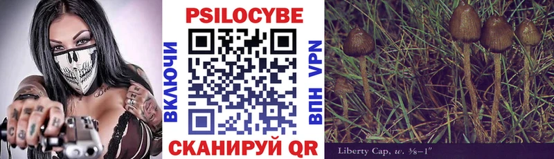 Псилоцибиновые грибы Magic Shrooms  купить наркоту  ссылка на мегу ТОР  Ужур 