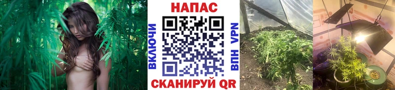 Канабис MAZAR купить наркотик Ужур